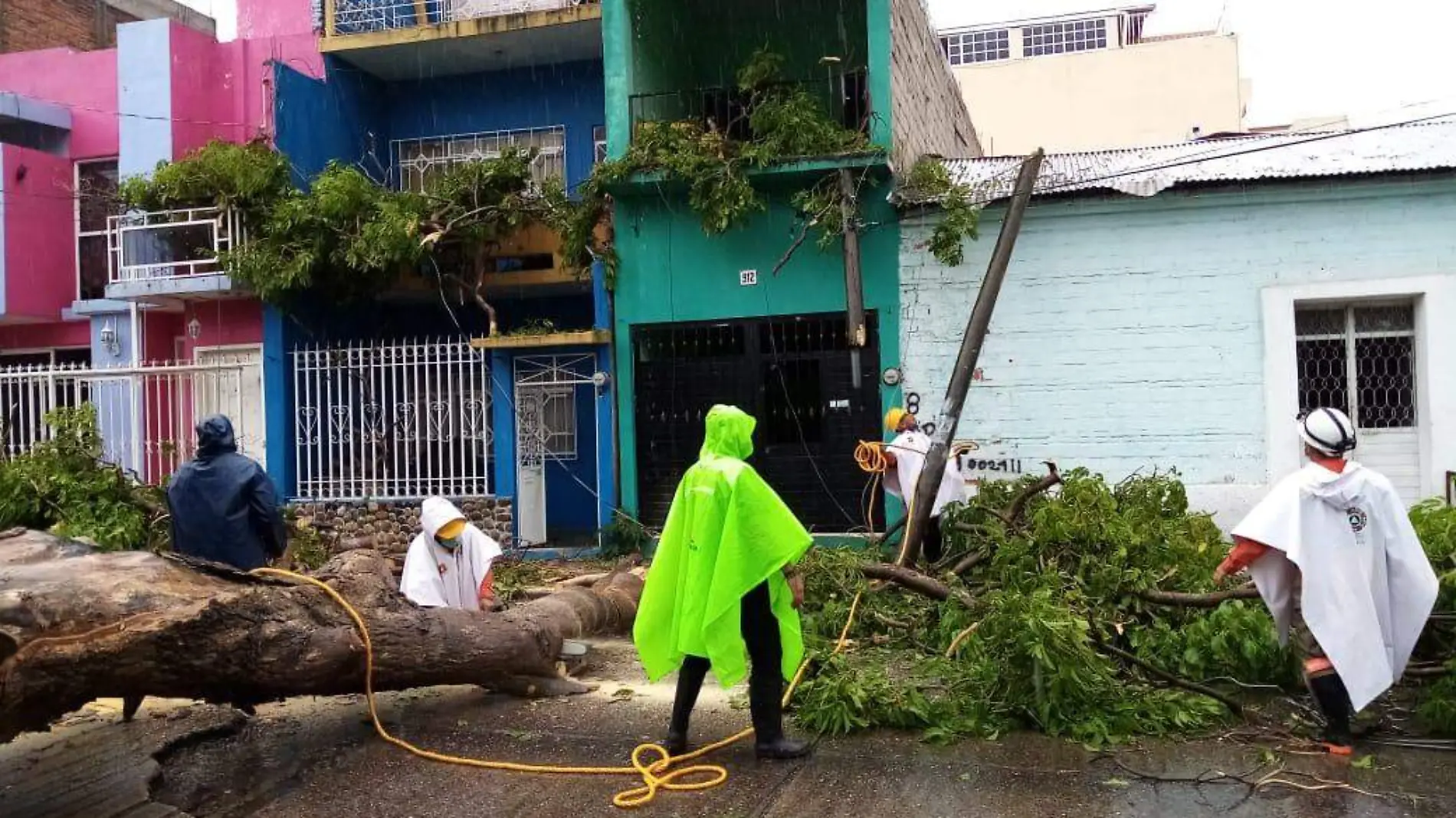 arbol derrumbe lluvias